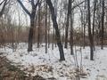 Еркін · 4711 м², бағасы: ~ 3.5 млрд ₸ в Алматы, Медеуский р-н — фото 5