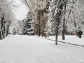 Еркін · 4711 м², бағасы: ~ 3.5 млрд ₸ в Алматы, Медеуский р-н — фото 7