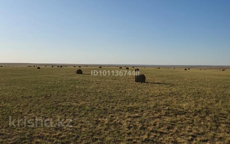 Хозяйство в форме СПК · 840 м² за 120 млн ₸ в Актау, 19-й мкр — фото 2