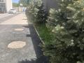 Отдельный дом · 4 комнаты · 147 м² · 22 сот., мкр Думан-2, Сабыр Рахимова 73 за 87 млн ₸ в Алматы, Медеуский р-н — фото 15