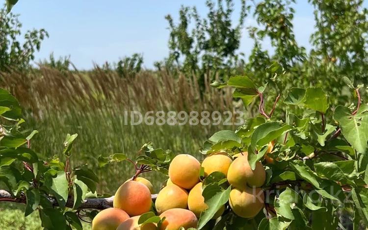 Участок · 20 га, Садовая за 45 млн 〒 в Чундже — фото 31