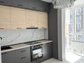 1-комнатная квартира · 47 м² · 7/13 этаж, Просп. Назарбаева 28 за 300 000 ₸ в Алматы, Жетысуский р-н — фото 2