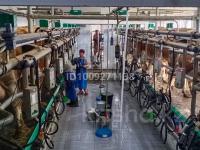 Молочно-товарная ферма · 4200 м², бағасы: 600 млн 〒 в Новомарковка