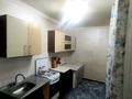 Отдельный дом • 4 комнаты • 100 м² • 7 сот., Саламатова 7д за 19 млн 〒 в Батане — фото 6