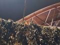 Отдельный дом · 3 комнаты · 70 м² · 5 сот., Таирова 41 за 59 млн ₸ в Алматы, Медеуский р-н — фото 23
