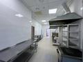 Общепит · 127 м² за 87 млн ₸ в Астане, Есильский р-н — фото 16