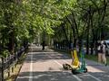1-комнатная квартира · 33 м² · 1/4 этаж, Кекильбаева 129/5 — Ескараева за 21 млн ₸ в Алматы, Бостандыкский р-н — фото 23