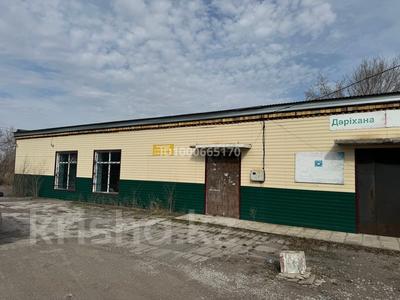 Еркін · 295 м², бағасы: 10 млн ₸ в Долинке