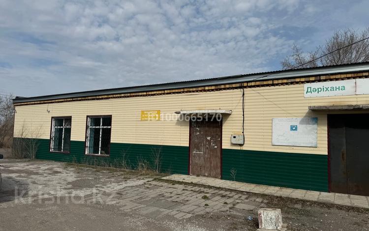 Еркін · 295 м², бағасы: 10 млн ₸ в Долинке — фото 2