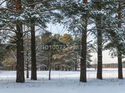 Отдельный дом · 2 комнаты · 55 м² · 65 сот., Лесная 21 — Село Трамбовка, Енбекшильдерский район за 9 млн 〒 в 
