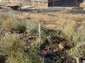Жер телімі · 5 сотық, Жайнақ (Комсомол), бағасы: 5 млн ₸ в Жайнак (Комсомоле) — фото 3