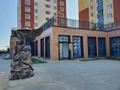 Еркін · 106 м², бағасы: 1.5 млн ₸ в Астане, Есильский р-н — фото 4