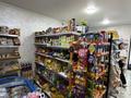 Готовый бизнес- Продуктовый магазин · 55 м², бағасы: 14 млн ₸ в Алматы, Наурызбайский р-н — фото 5