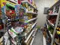 Готовый бизнес- Продуктовый магазин · 55 м², бағасы: 14 млн ₸ в Алматы, Наурызбайский р-н — фото 6