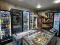 Готовый бизнес- Продуктовый магазин · 55 м², бағасы: 14 млн ₸ в Алматы, Наурызбайский р-н — фото 7