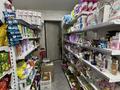 Готовый бизнес- Продуктовый магазин · 55 м², бағасы: 14 млн ₸ в Алматы, Наурызбайский р-н — фото 8