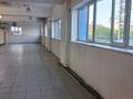 Еркін, дүкендер мен бутиктер · 200 м², бағасы: 2 млн ₸ в Алматы, Бостандыкский р-н — фото 3