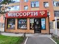Свободное назначение, офисы, магазины и бутики, склады, общепит, салоны красоты, медцентры и аптеки, образование, развлечения · 90 м² за 40 млн 〒 в Косшы — фото 2
