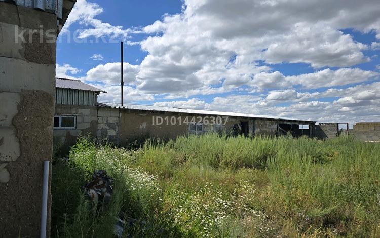 Свободное назначение, сельское хозяйство · 750 м² за 140.5 млн ₸ в Акмоле — фото 2