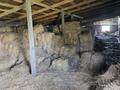 Свободное назначение, сельское хозяйство · 750 м² за 140.5 млн ₸ в Акмоле — фото 9
