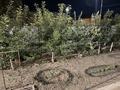 Отдельный дом · 8 комнат · 320 м² · 10 сот., мкр Мунайшы, Строительная 23 — Мунайшы за 65 млн ₸ в Атырау — фото 3