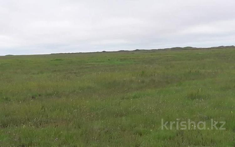 Участок · 0.1 га, С.Бирсуат за 571 350 ₸ в  — фото 2
