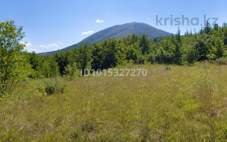 Участок · 45 соток, Усть-Каменогорск за 8 млн ₸ — фото 2