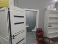 Магазины и бутики · 45 м² за 36 млн ₸ в Астане, Сарайшык р-н — фото 5
