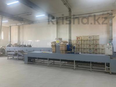 Свободное назначение, склады, общепит · 540 м² за 1.2 млн ₸ в Астане, Алматы р-н