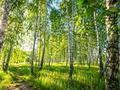 3-бөлмелі пәтер · 95 м² · 1/4 қабат, Канай би 209а, бағасы: 39 млн ₸ в Щучинске — фото 20