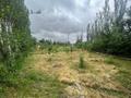 Свободное назначение, сельское хозяйство · 8000 м² за 25 млн ₸ в Кентау — фото 6