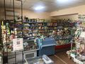 Магазины и бутики • 100 м² за 50 млн 〒 в Кордае — фото 4
