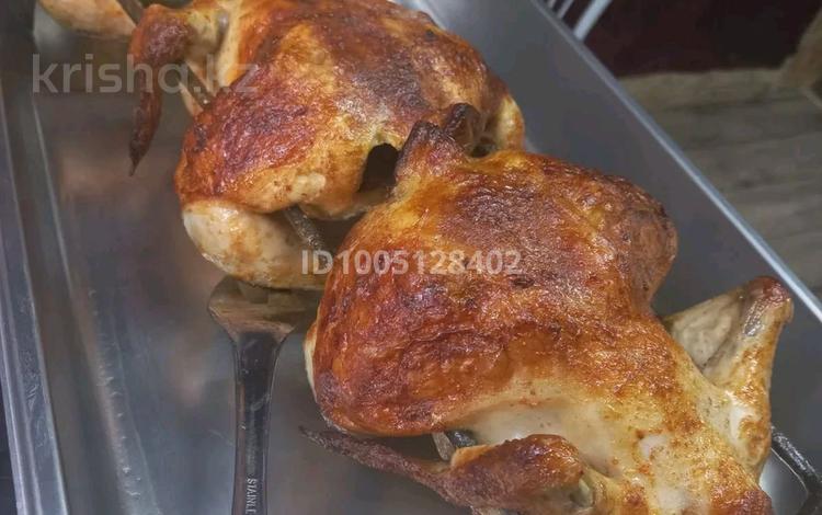 Шашлычную · 24 м², бағасы: 2.5 млн 〒 в Костанае, Микрорайон Аэропорт 2 — фото 4