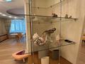 6-комнатная квартира · 374 м² · 6/9 этаж, Фурманова 63 за 486 млн ₸ в Алматы, Медеуский р-н — фото 33
