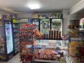 Магазины и бутики · 55.6 м² за 47 млн ₸ в Алматы, Наурызбайский р-н — фото 3