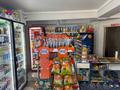Магазины и бутики · 55.6 м² за 47 млн ₸ в Алматы, Наурызбайский р-н — фото 5