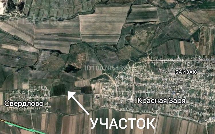 Участок · 1.5 га, Аймауытова 170 за 5 млн ₸ в Жамбылской обл., Байзак — фото 5