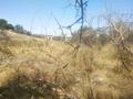 Участок · 12 соток, ПКСТ Турар 88, лин. 5 Линия уч. 58/60 — От вышки связи поворачиваем налево, проезжаем квартал и направо дважды за 1.5 млн ₸ в Турарских дач — фото 12