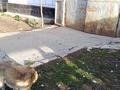 Отдельный дом · 3 комнаты · 50 м² · 8 сот., Мичурина 54 за ~ 5.8 млн ₸ в Текели — фото 11