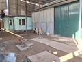 Еркін · 500 м², бағасы: 800 000 ₸ в Алматы, Алатауский р-н — фото 2