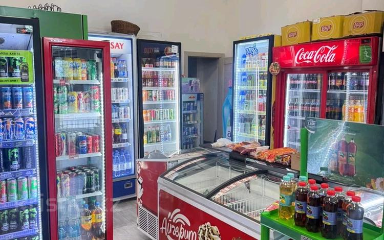Продаётся бизнес продуктовый магазин · 100 м² за 20 млн ₸ в Астане, Есильский р-н — фото 2