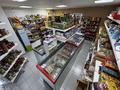 Магазины и бутики · 60 м² за 75 млн ₸ в Астане, Алматы р-н — фото 6