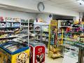 Магазины и бутики · 50 м² за 40 млн ₸ в Сарани — фото 8