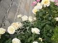 Жеке үй · 14 бөлме · 330 м² · 15 жүзд., Достык * — Абылай хана, бағасы: 105 млн ₸ в Каскелене — фото 26