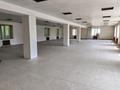 Свободное назначение, офисы, магазины и бутики, склады · 380 м² за 1 млн ₸ в Астане, р-н Байконур — фото 8