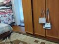 Жеке үй · 4 бөлме · 150 м² · 100 жүзд., Торговый 15, бағасы: 6 млн ₸ в Сергеевке — фото 5