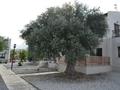 4-бөлмелі пәтер, 85 м², Kyrenia - Dipkarpaz Road, бағасы: ~ 51.7 млн 〒 в Гирне — фото 15