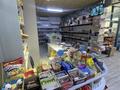 Дествующий бизнес · 115 м², бағасы: 6 млн ₸ в Каскелене — фото 9