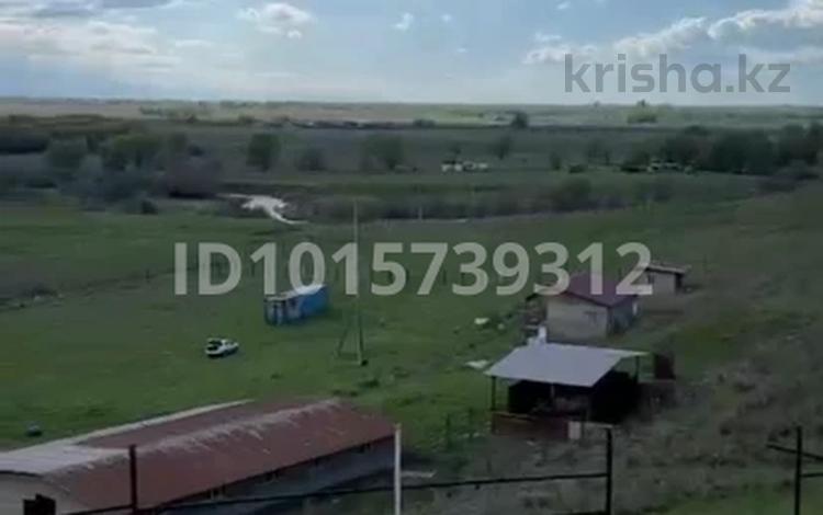 Участок · 3.5 га, Арай за 120 млн ₸ в Коксай (пути Ильича) — фото 2