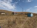 Участок · 3.5 га, Арай за 120 млн ₸ в Коксай (пути Ильича) — фото 13